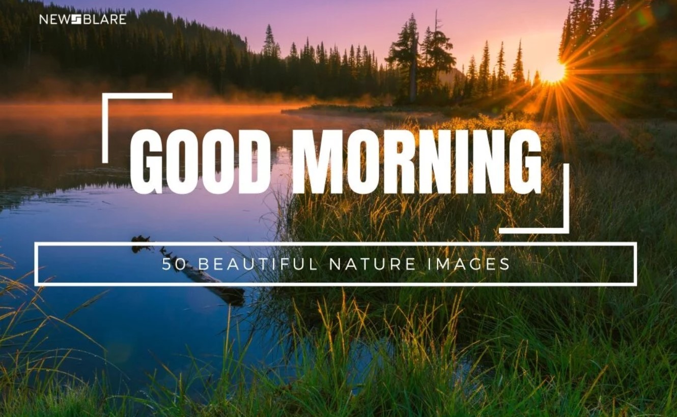 Captivating Nature Good Morning Images to Start Your Day on a Serene Note